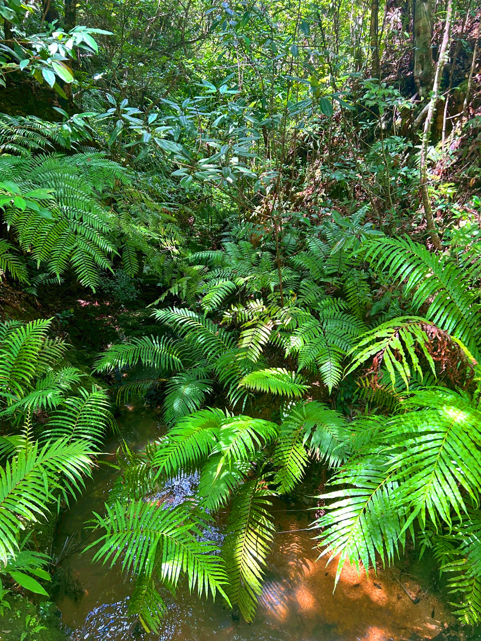 研究に基づいた科学的なミミズ養殖